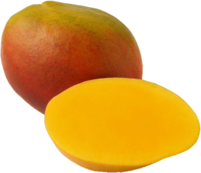 Mango T.Atkins Gr;7,910,12 (10lb/4.4kg)