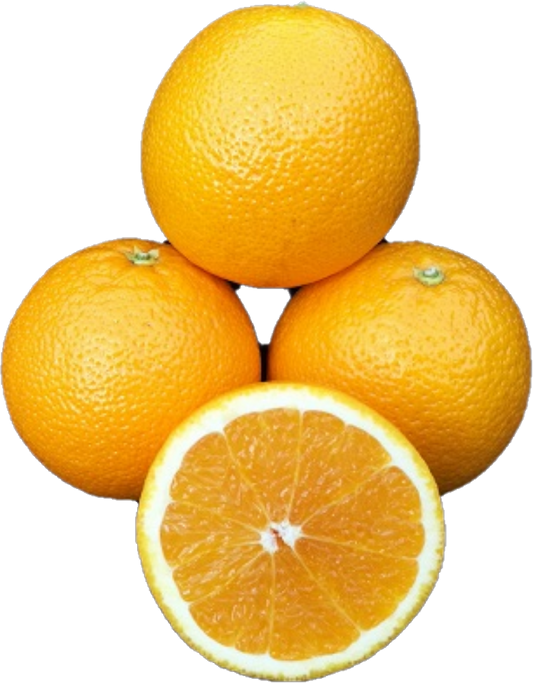 Orange Midnight Gr;37,42,49,57 (33lb/15kg)