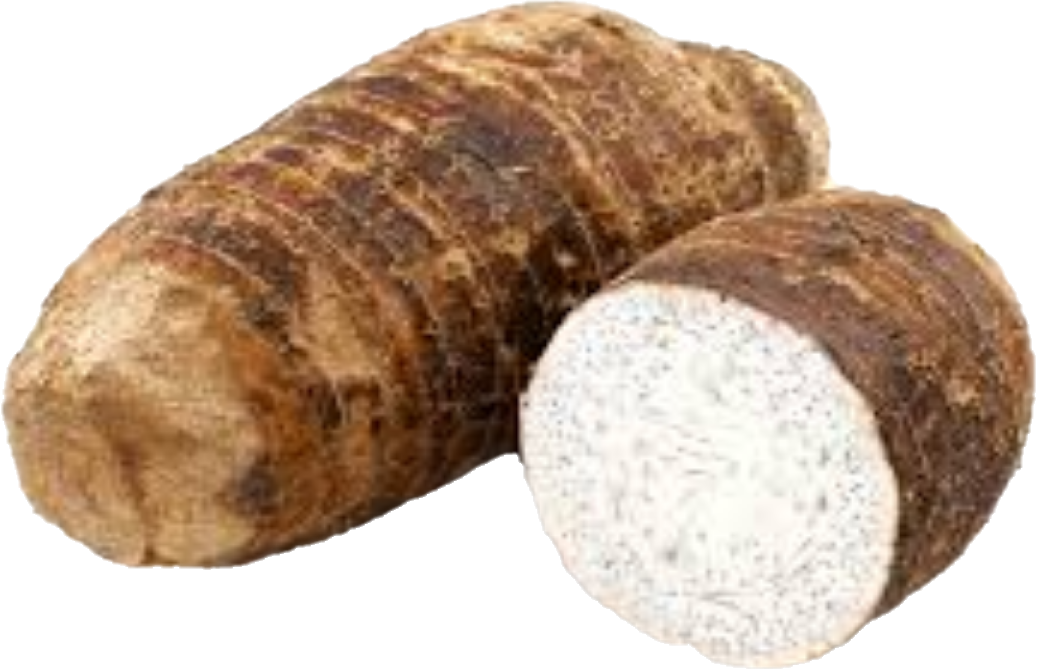 Malanga Coco 40lb/18.14)