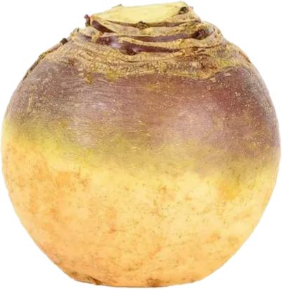 Rutabaga Med Québec (50lb/22.68kg)