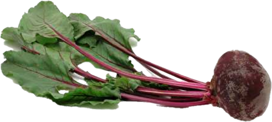 Bettrave Feuille 12(10lb/4.5kg)