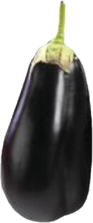 Aubergine Italienne (11lb/5kg)