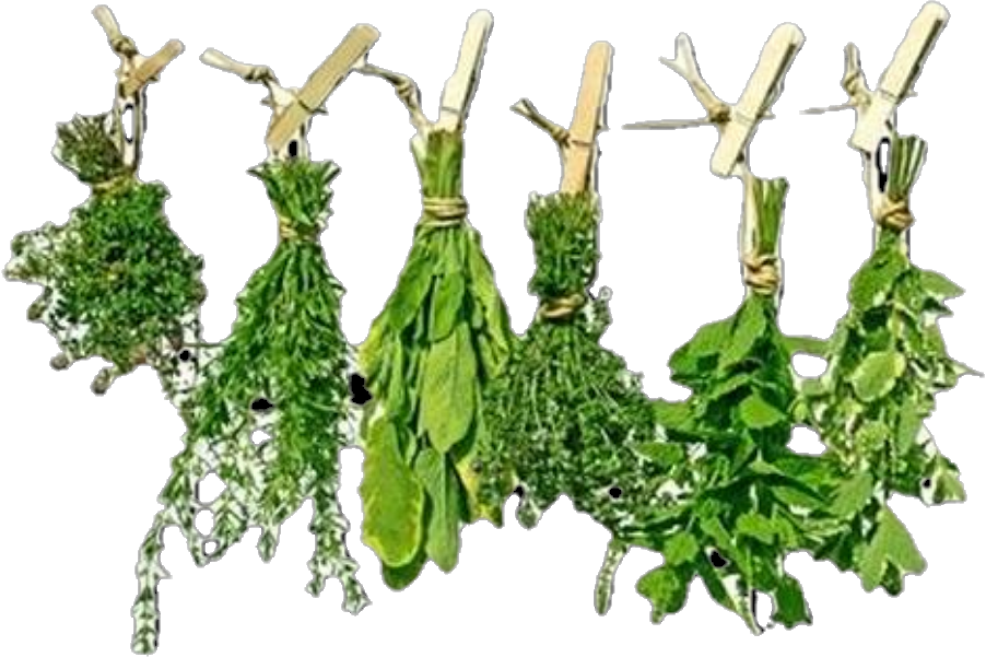 Fines Herbes