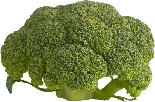 Brocoli crown (25lb/11.3kg)