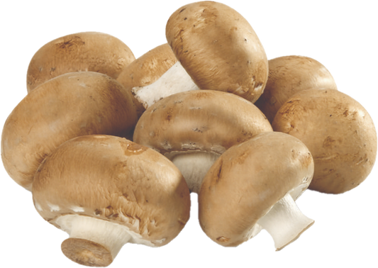 Champignon Café Loose #1 (5lb/2,68kg)