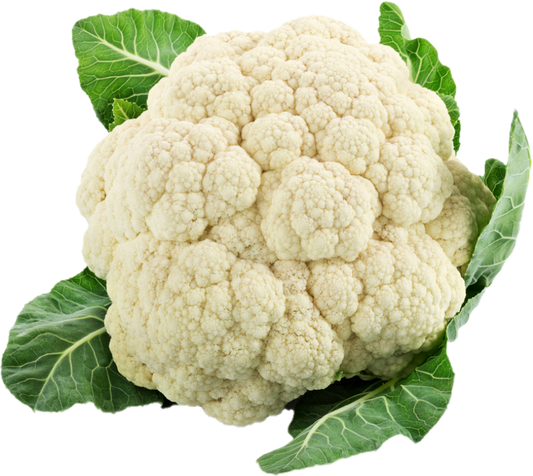 Chou-Fleurs 12 (30lb/13.6kg)
