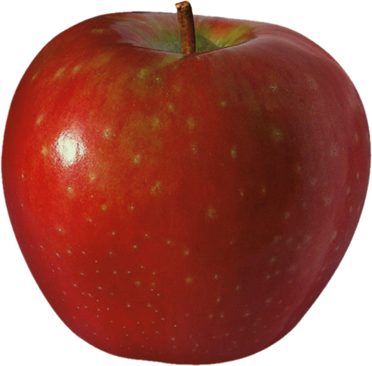 Pomme Sugar Bee 80,88,100 (40lb/18.1kg)