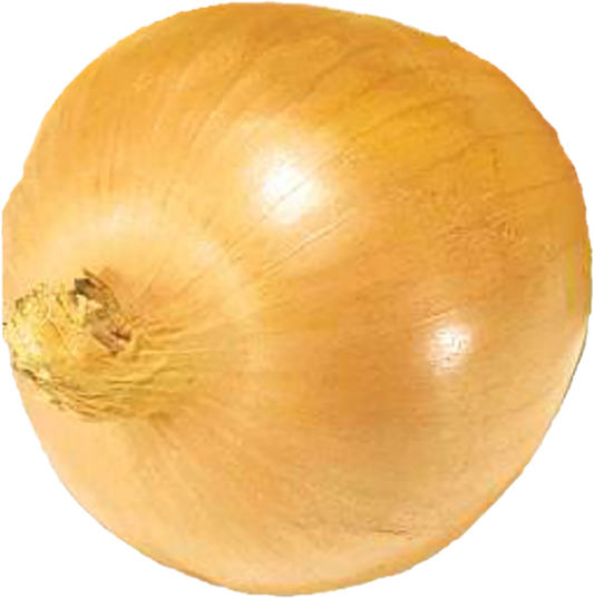 Oignon Jaune 24×2 (50lb/22.67kg)