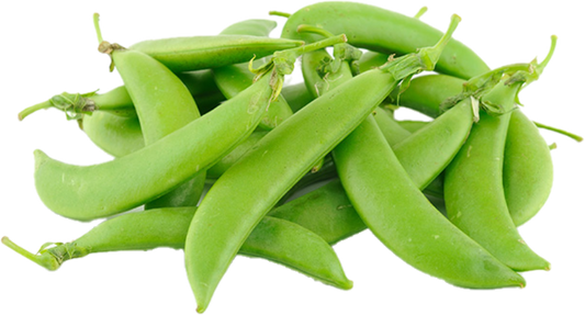 Haricot Sugar Snap (10lb/4.5kg)