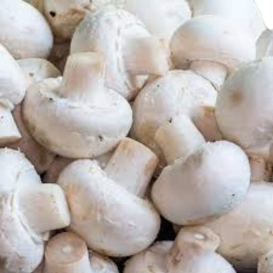 Champignon Loose #1 (5lb/2,68kg)