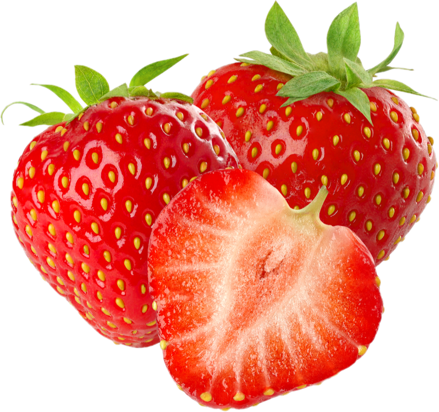 Fraise Quebec(10×541ml)
