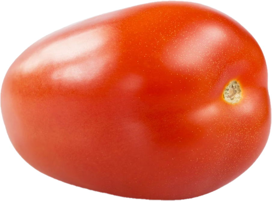 Tomate Roma Mexique (25lb/11.33kg)