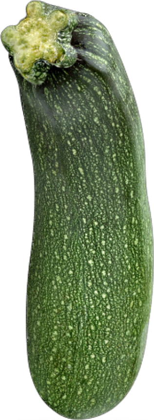 Courge Zuchini Vert (25lb/11.33kg)