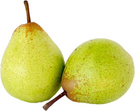 Poire Rocha (22b/10kg)