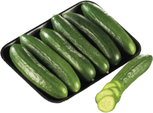 Concombre Libanais 12×1(10lb/4.53kg)