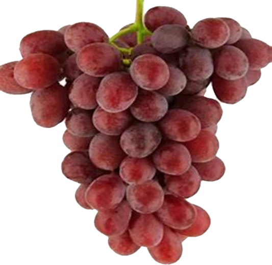 Raisin Timco Rouge (18lb/8.1kg)
