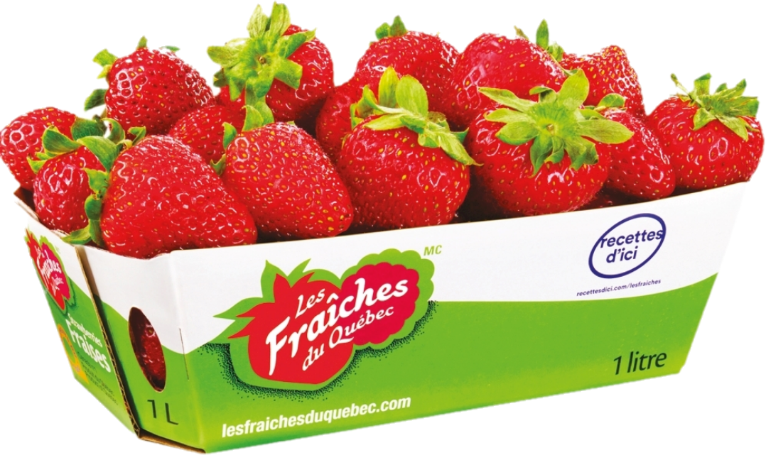 Fraise Quebec(10×541ml)