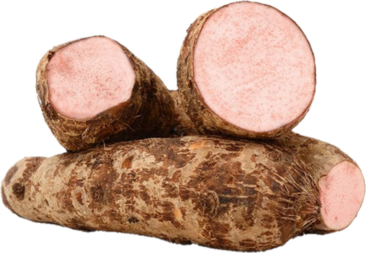 Malanga Lila (50lb/22.67kg)