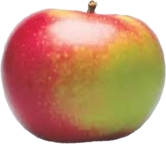 Pomme Locale Mcintosh (40lb/18.1kg)
