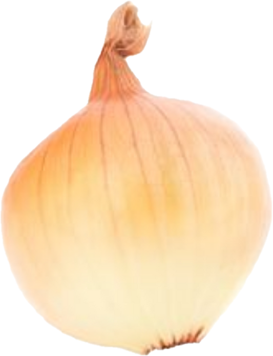 Oignon  Colossal