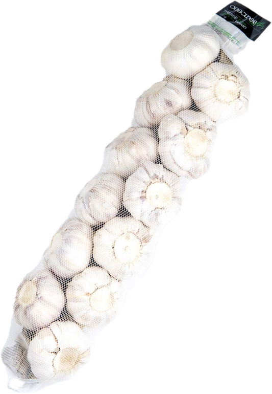 Ail Tresse 20×500(22lb/10kg)