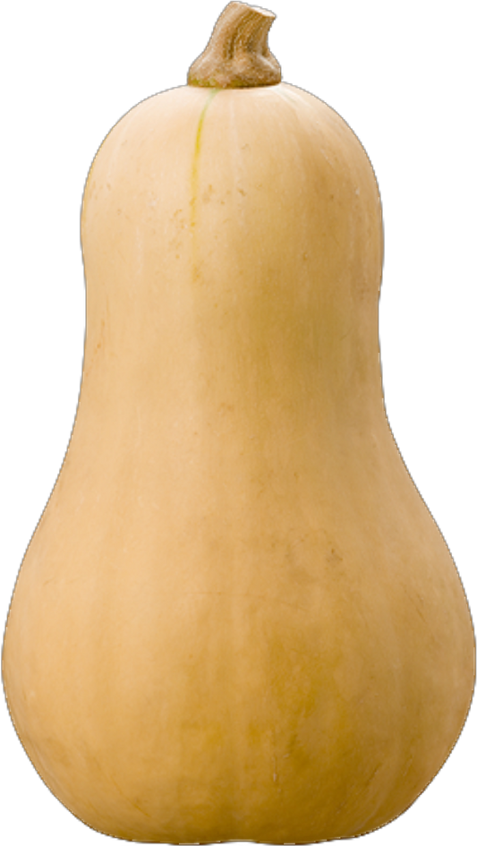 Courge Butternut (40lb/18.14kg)